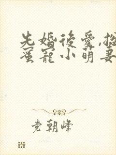 先婚后爱,总裁蜜宠小萌妻