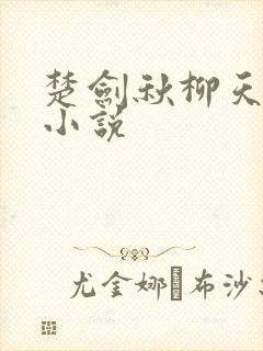 楚剑秋柳天瑶 小说封面