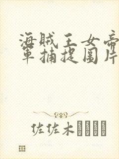 海贼王女帝被海军捕捉图片