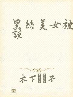 黑丝美女被插小说