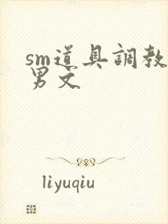 sm道具调教男男文