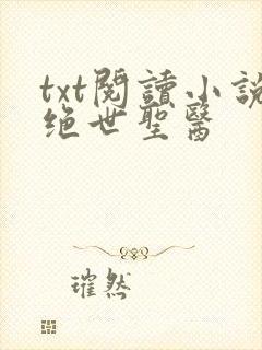 txt阅读小说绝世圣医