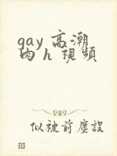 gay 高潮 肉 h 视频封面