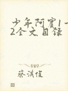 少年阿宾1一72全文目录