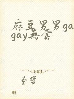 麻豆男男gaygay无套