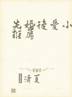 先婚后爱小甜文推荐封面