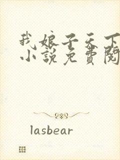 我娘子天下第一小说免费阅读