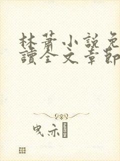 林萧小说免费阅读全文章节