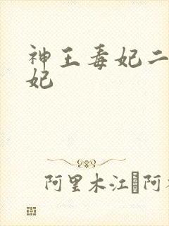 神王毒妃二嫁王妃