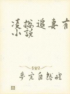 凌总追妻有点甜小说