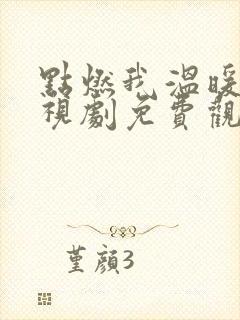 点燃我温暖你电视剧免费观看高清