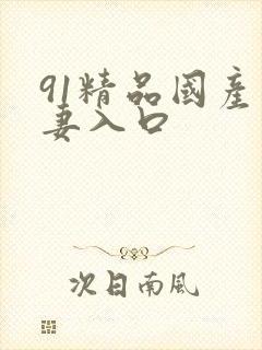 91精品国产人妻入口