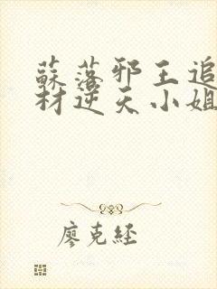 苏落邪王追妻废材逆天小姐