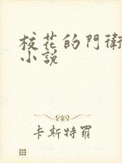 校花的门卫老董小说