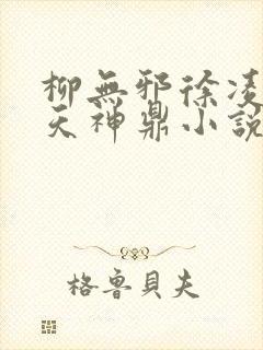 柳无邪徐凌雪吞天神鼎小说