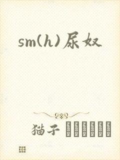 sm(h)尿奴