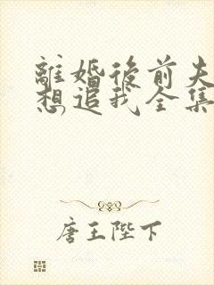 离婚后前夫总是想追我全集完整版封面