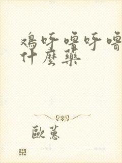 鸡呼噜呼噜该喂什么药