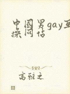 中国男gay互操网站
