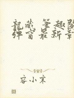 龙藏 笔趣阁无弹窗最新章节封面