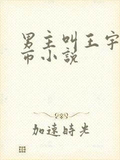 男主叫王宇的都市小说