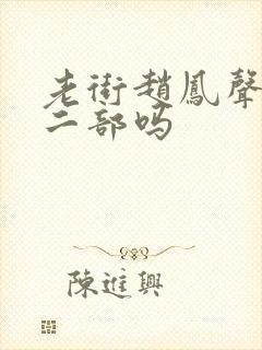 老街赵凤声有第二部吗