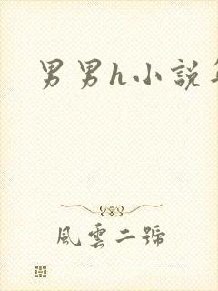 男男h小说年下