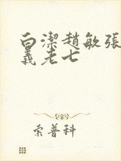 白洁赵敏张倩高义老七