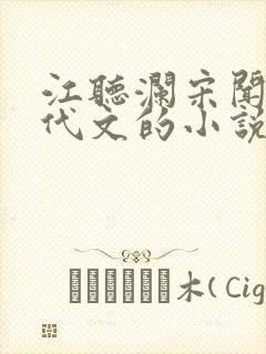 江听澜宋闻野年代文的小说名封面