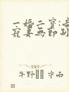 一婚二宝:帝少宠妻无节制封面