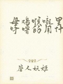 母鸡喉咙里呼噜呼噜的用什么药封面