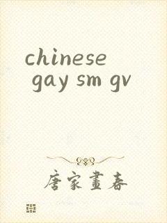 chinese gay sm gv