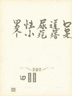 男性尿道口长了个小疙瘩是怎么回事封面