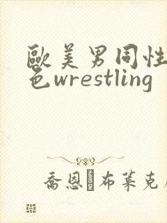 欧美男同性恋黄色wrestling封面
