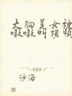 大胸美女被c的嗷嗷叫视频