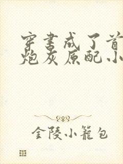 穿书成了首辅的炮灰原配小说