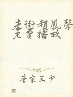 老街赵凤声短剧免费播放