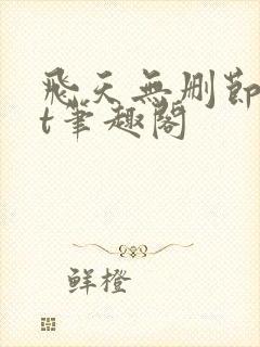 飞天无删节txt笔趣阁