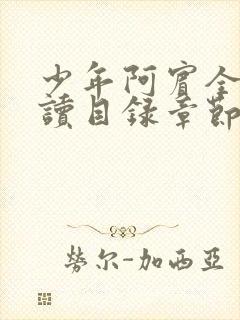 少年阿宾全文阅读目录章节封面