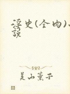 淫史(全肉)小说