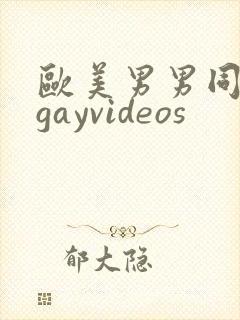 欧美男男同性恋gayvideos