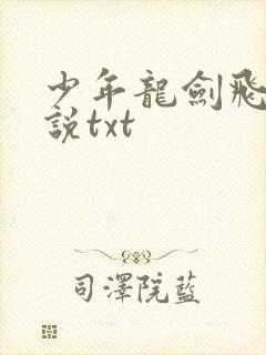少年龙剑飞 小说txt