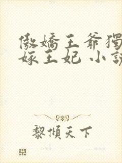 傲娇王爷独宠替嫁王妃 小说