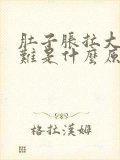 肚子胀拉大便困难是什么原因