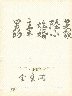 男主姓陆是首长的军婚小说