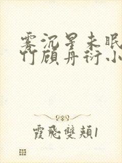 雾沉星未眠沈清竹顾舟衍小说