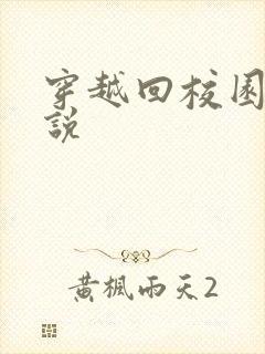 穿越回校园的小说封面