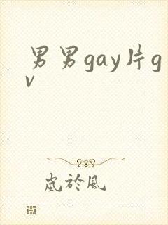 男男gay片gv