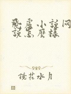 飞卢小说网写小说怎么样