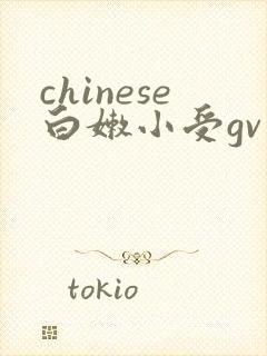 chinese白嫩小受gv